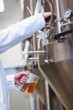 © WavebreakMediaMicro - Manufacturer filling beer into glass at brewery