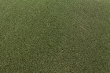 Wall Mural - aerial view of harvest fields in Poland