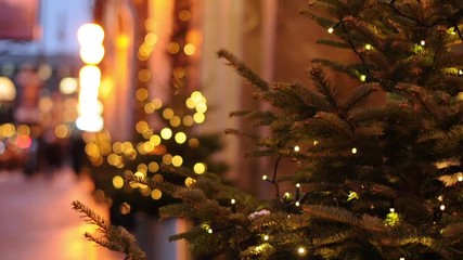 Wall Mural - Christmas lights and trees in Saint Petersburg, selective focus