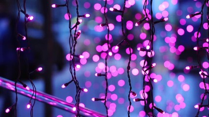 Wall Mural - Christmas lights and trees in Saint Petersburg, selective focus