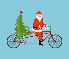 Santa Claus and Christmas tree ride bicycle. Christmas tandem. O