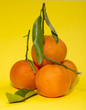 © i_valentin - Спелые мандарины на жёлтом фоне