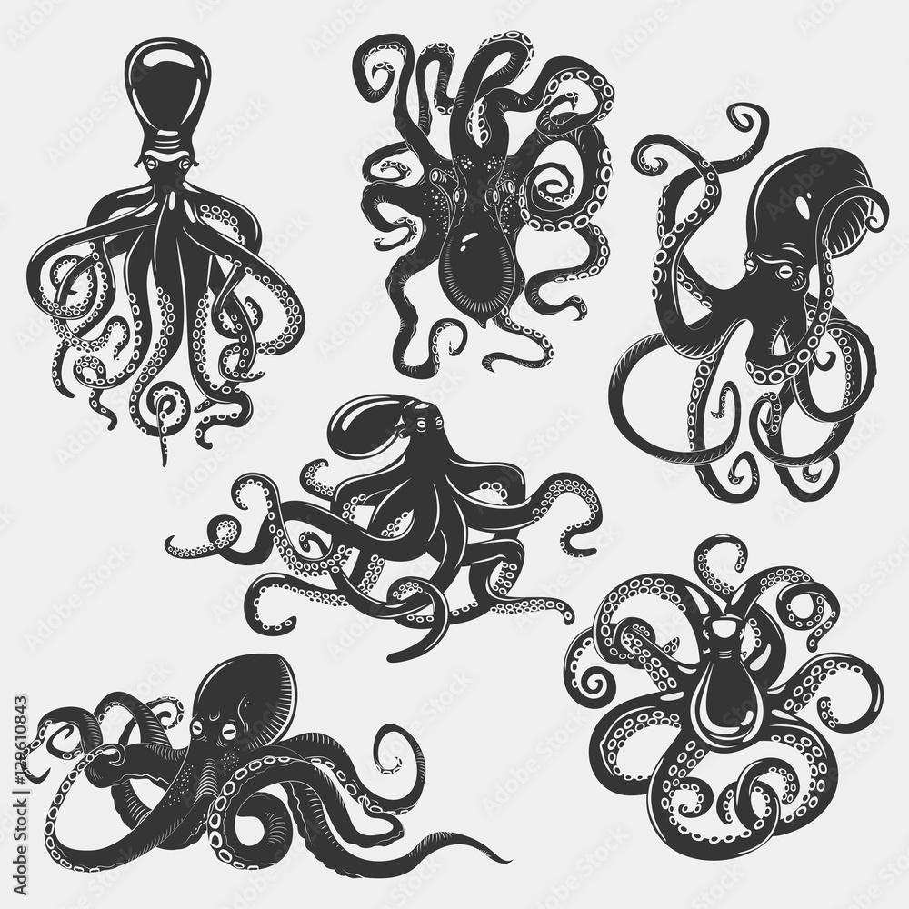 Suction cups on octopus tentacle. Stock Vector | Adobe Stock
