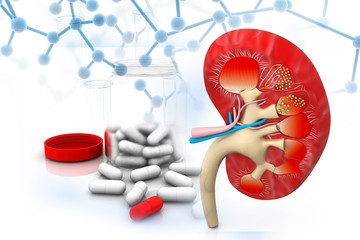 Wall Mural - 3d render of Human kidney with medicines.