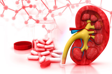 Wall Mural - 3d render of Human kidney with medicines