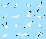 Fototapeta Na ścianę - Vector set of beautiful seagulls.