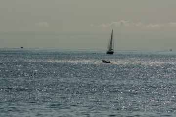 view of Mediterranean sea from Cinque terre