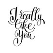 I Really Like You, Love Letter, English Handwritten Text Vector 