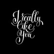 I Really Like You. Love Letter, Message Text English Handwriting