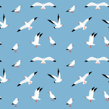Vector Beautiful Pattern With Seagulls.