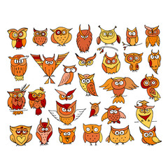 Poster - Set of funny owl collection for your design