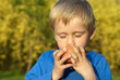 © Petr Bonek - Child little blond boy eating red apple outdoor in the garden. Kids, lifestyle concept. Child eating healthy food