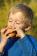 © Petr Bonek - Child little blond boy eating red apple outdoor in the garden. Kids, lifestyle concept. Child eating healthy food