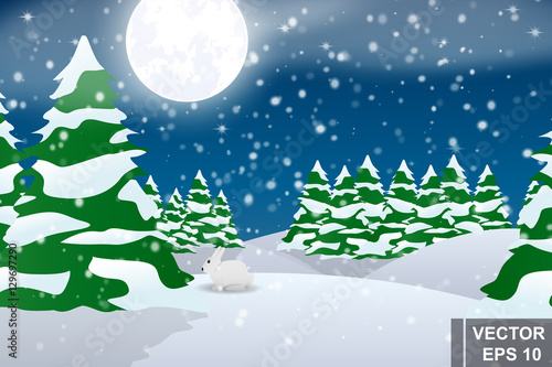 Winter Forest Night Landscape Cartoon Snow Covered Trees Christmas And New Year Stock Vector Adobe Stock