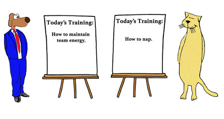 Color business illustration about two different approaches to training and work.