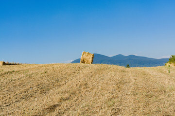 Round straw bales in harvested fields and blue sky