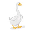 white goose 