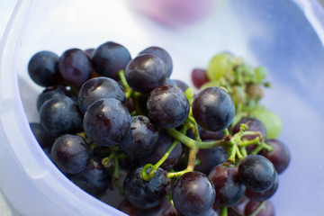  Dark grapes in plate