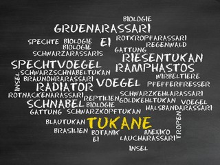 Wall Mural - Tukane