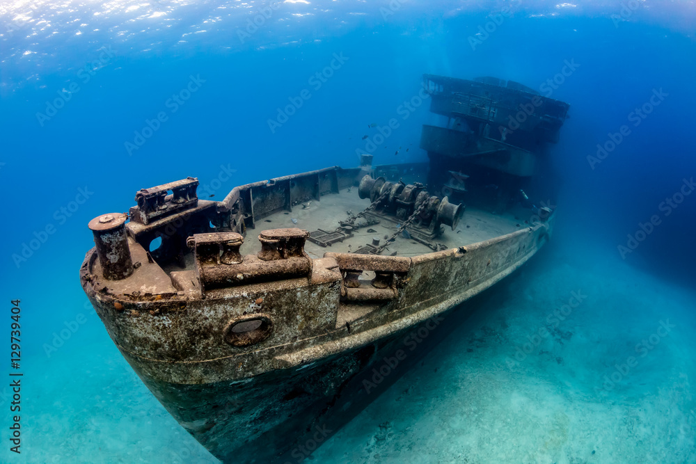Underwater Wreck of the USS Kittiwake - obrazy, fototapety, plakaty 