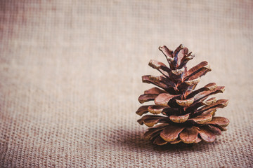 Christmas tree cone on linen fabric.