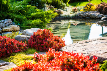 beautiful landscaping with beautiful plants and flowers