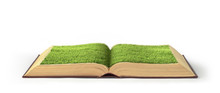 Open Book Covered Grass Isolated On A White Background