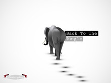 Graphic Design Vector Of Elephant Go Back To The Jungle Vector, Wild Life Graphic Design Concept
