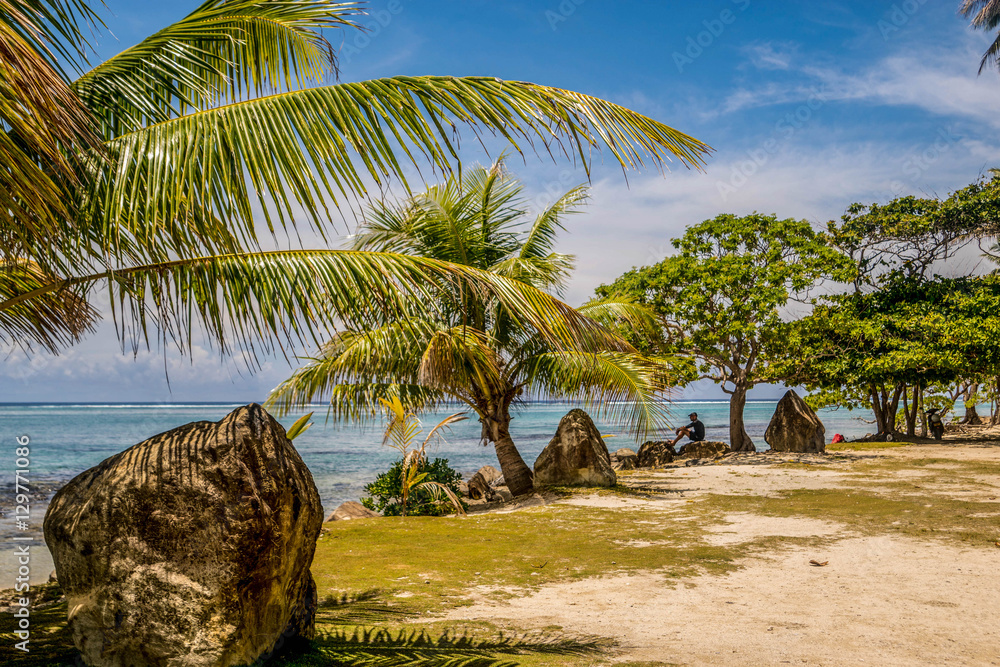 Photo Art Print Plage Paradisiaque En Polynésie Française