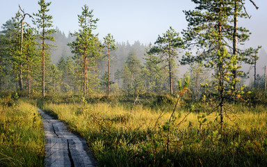 Hiking trail in foggy morning