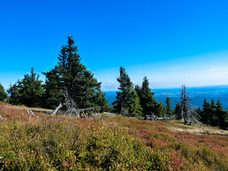 Jeseniky mountains, Czech Republic 