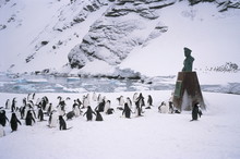 Point Wild, Where Shackleton's Men Were Rescued In 1916, One Of The Most Historic Locations In The Antarctic, Elephant Island, Antarctica