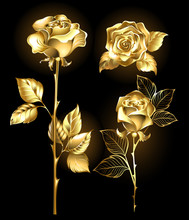 Set Of Golden Roses