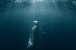 Sperm whale and Freediver