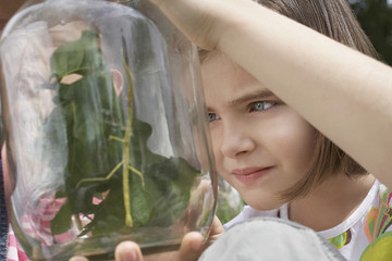 Two girls examining stick insects in jar outdoors