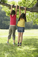 Wall Mural - Full length rear view of little girls hanging from tree branch