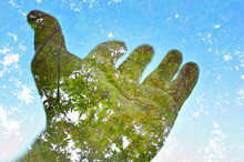 Nature Ecology Background, Multiple Exposure Hand And Tree, Planet Earth Concept