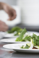 Canvas Print - Closeup of a blurred chef preparing meal with focus on salad in foreground