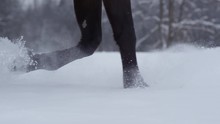 SLOW MOTION: Dark Horse Running Though Deep Snow Splashing Snowflakes In Winter