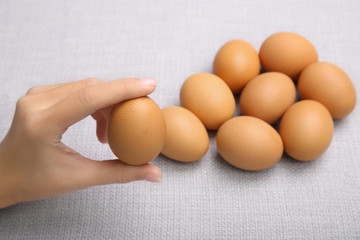 Poster - Female hand holding raw egg on light background