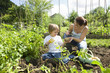 Mother and son gardening together in an allotment