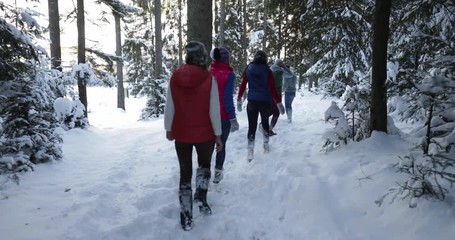 Wall Mural - Group Of People Winter Snow Forest Walking Friends Path In Snowy Park Back View Slow Motion 60