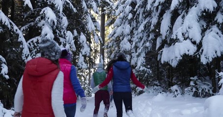 Wall Mural - Group Of People Winter Snow Forest Walking Friends Path In Snowy Park Back View Slow Motion 60