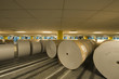 © moodboard - View of huge rolls of paper in newspaper factory