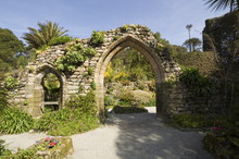 The Abbey Gardens, Tresco, Isles Of Scilly, Off Cornwall