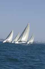 Poster - View of four yachts competing in team sailing event