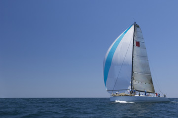 Wall Mural - View of a yacht competing in team sailing event