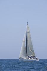 Wall Mural - Sailboat racing in the blue and calm ocean against sky