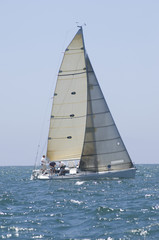 Wall Mural - Sailboat racing in the blue and calm ocean against sky