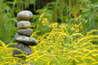 Serene setting of rocks, yellow flowers, and green foliage
